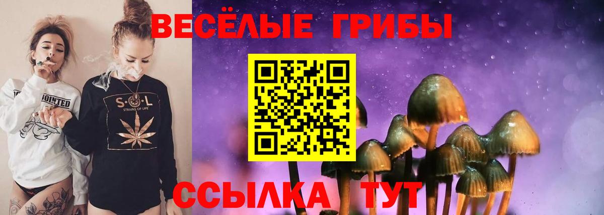 Псилоцибиновые грибы ЛСД Каспийск